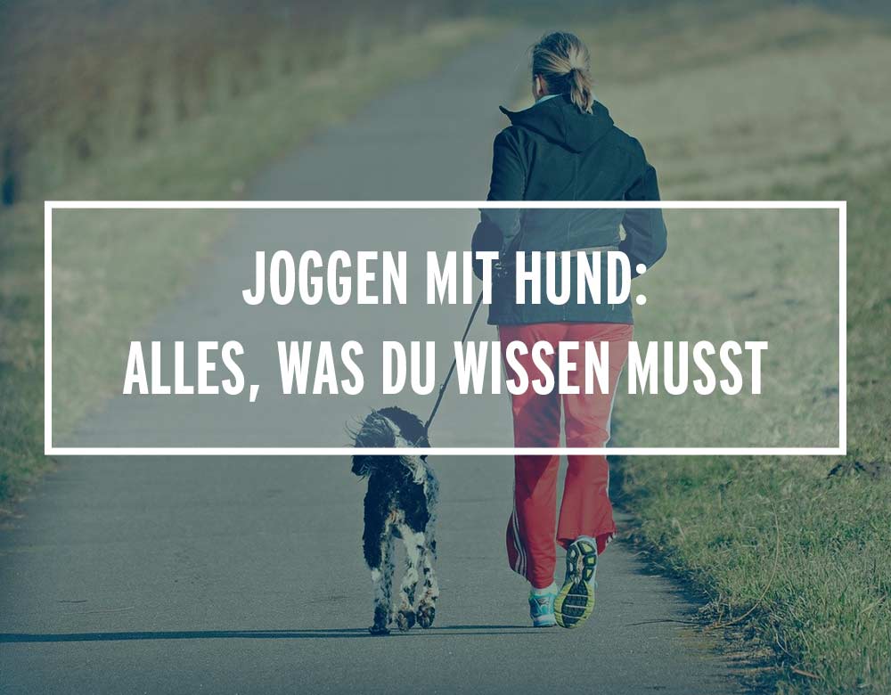 Joggen mit Hund: Eine Frau läuft zusammen mit ihrem Vierbeiner